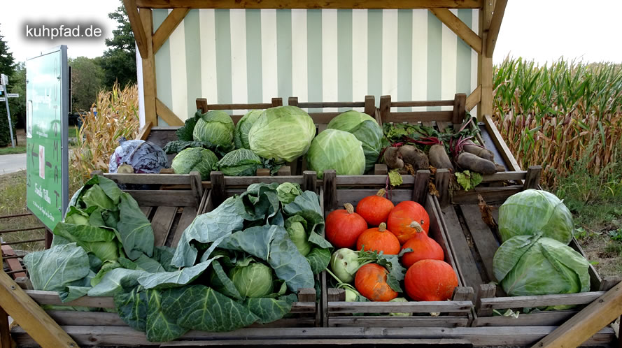 Frisch aus der Region Bauernladen Frisch aus der Region