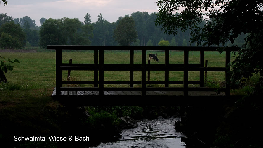 Elmpter Schwalmbruch