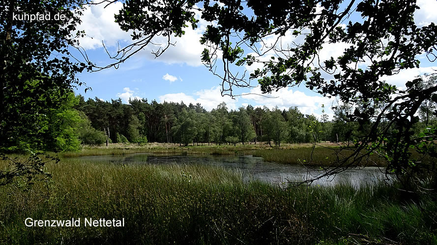 Grenzwald Nettetal