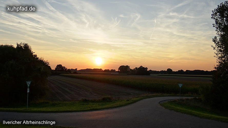 Ilvericher Rheinschlingen