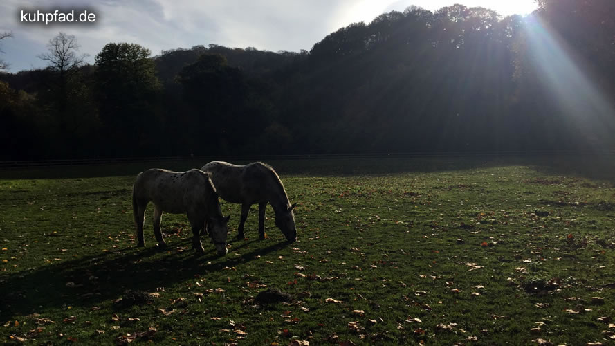 Tiergarten Kleve Tiergarten Kleve