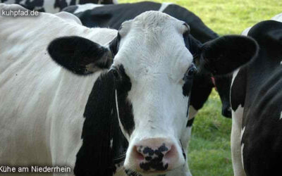 Niederrhein auf einen Blick