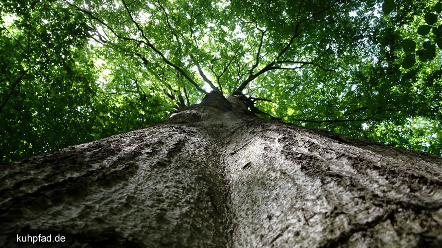 Naturpark Hohe Mark Naturpark Hohe Mark