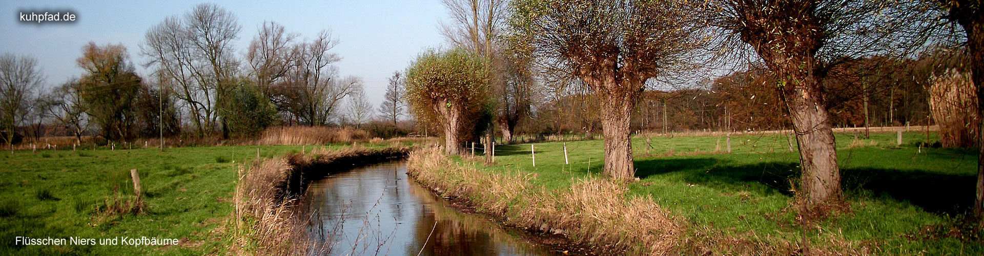 Niers Kopfbäume Niers Kopfbäume