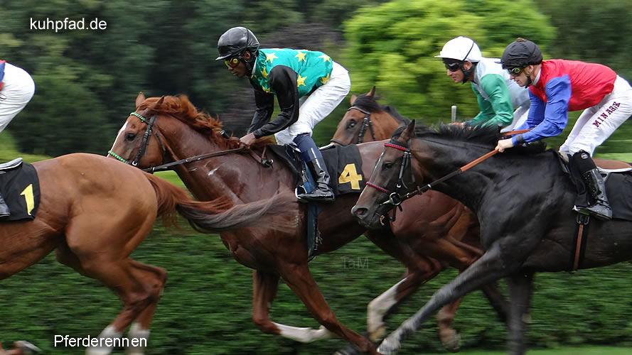 Pferderennen Pferderennen