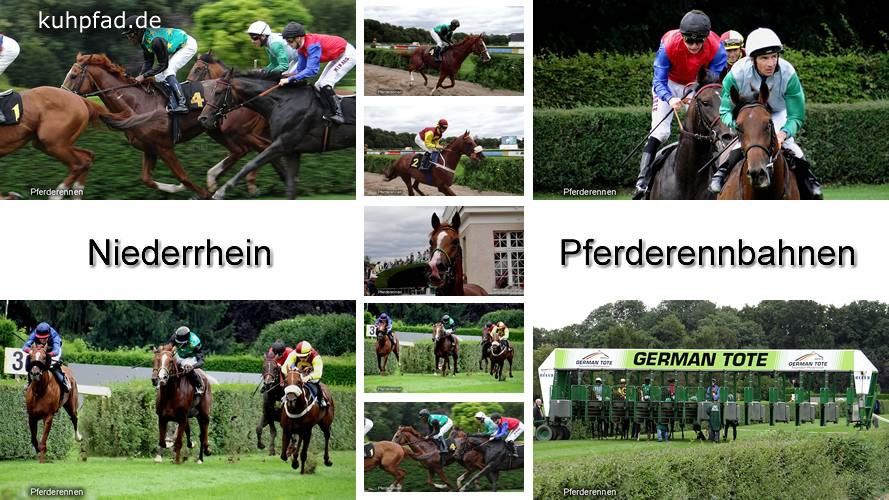 Pferderennen Pferderennen