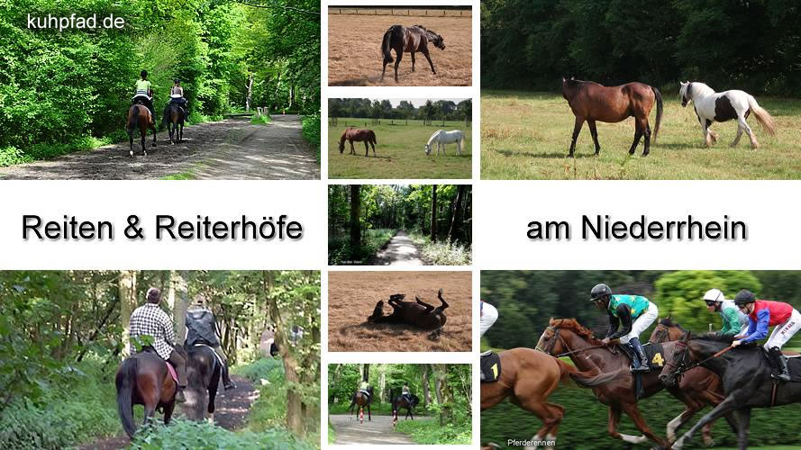 Reiten Reiten