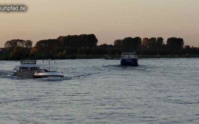 Fluss Rhein