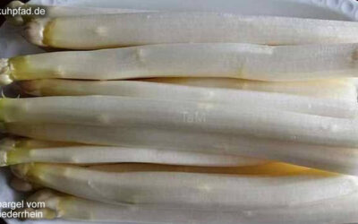 Spargel