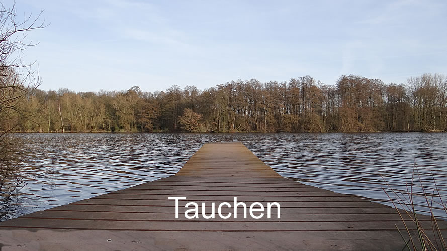 Tauchen Tauchen