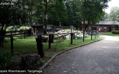 Damwildgehege Rheinhausen