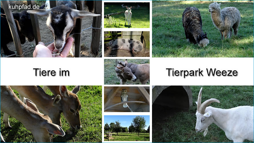 Tierpark Weeze Tierpark Weeze