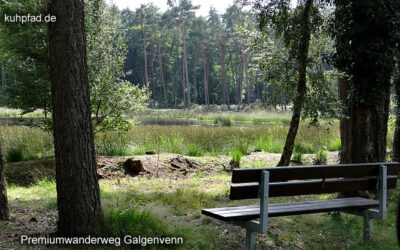 Spaziergang in der Natur