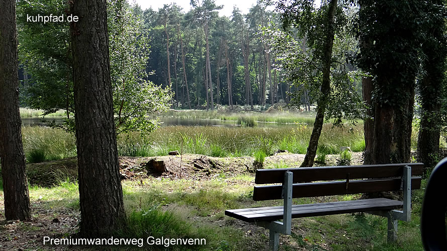 Wanderweg Galgenvenn Wanderweg Galgenvenn