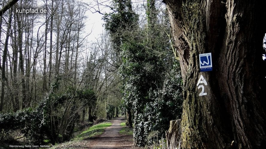 Wanderweg Nette Seen Wanderweg Nette Seen