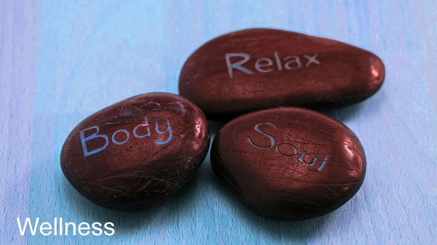 Wellness Wellness