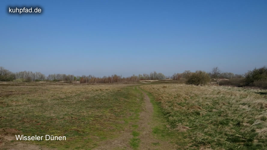Wisseler Dünen