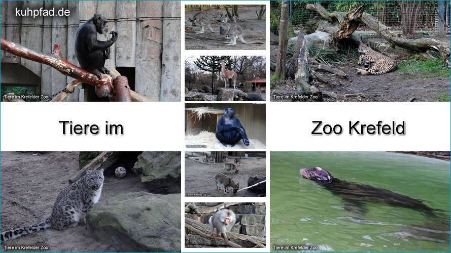 Zoo Krefeld Zoo Krefeld