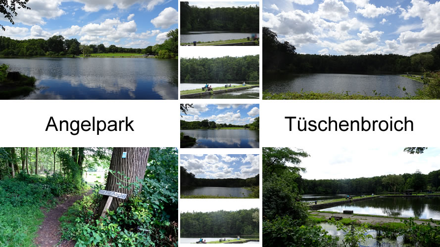 Angelpark Tüschenbroich Angelpark Tüschenbroich