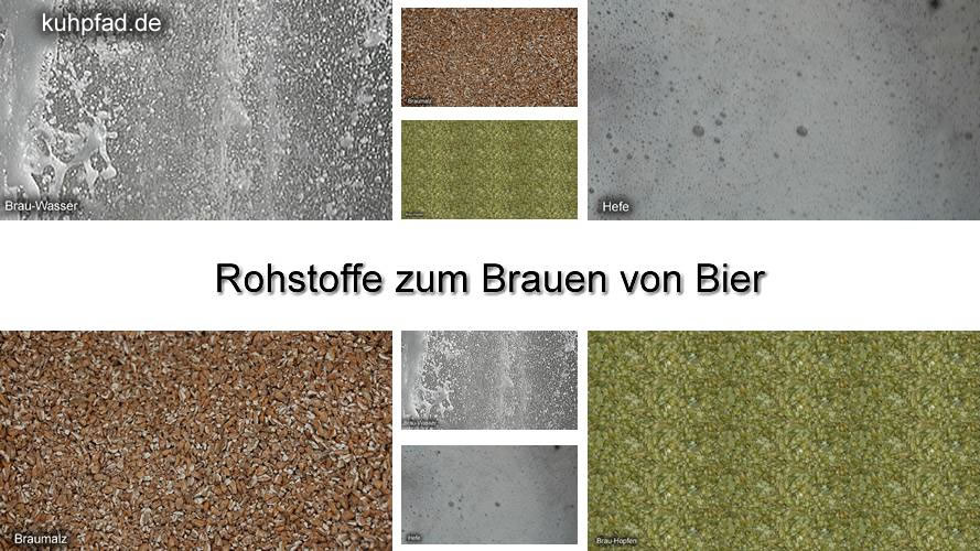 Bierbrauen Bierbrauen