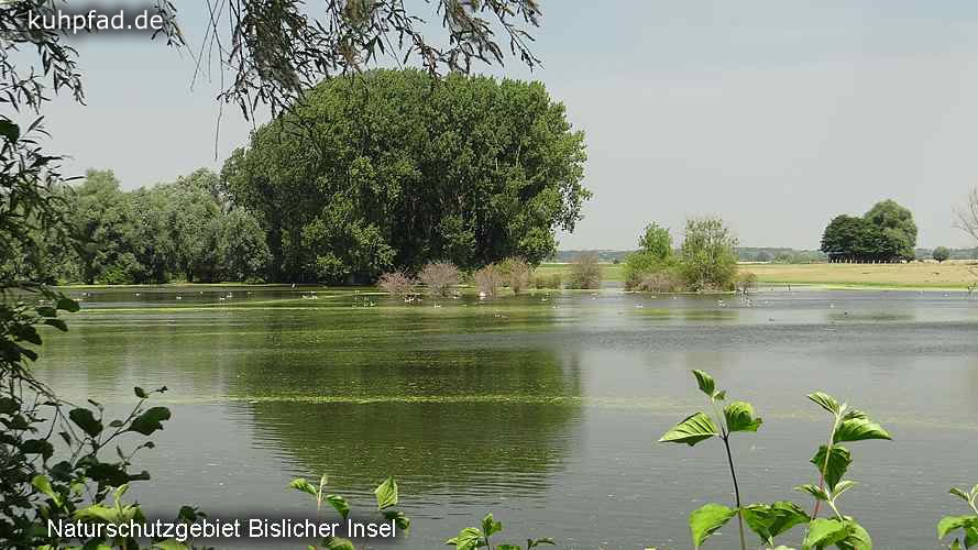 Bislicher Insel Bislicher Insel