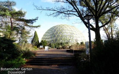 Botanischer Garten Düsseldorf