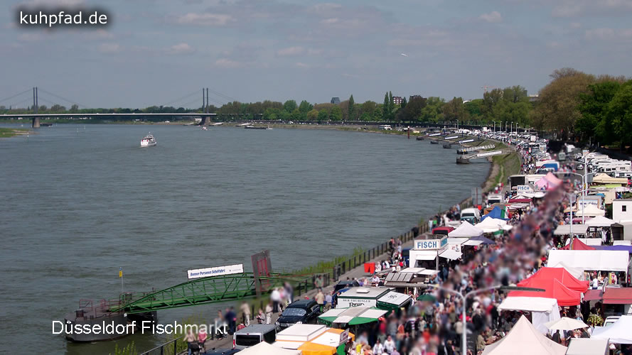 Fischmarkt Düsseldorf Fischmarkt Düsseldorf
