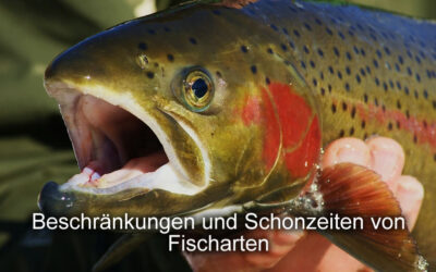 Angeln Beschränkungen und Schonzeiten