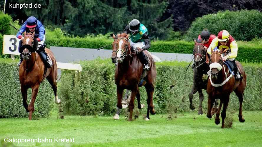 Krefelder Galopprennbahn Krefelder Galopprennbahn