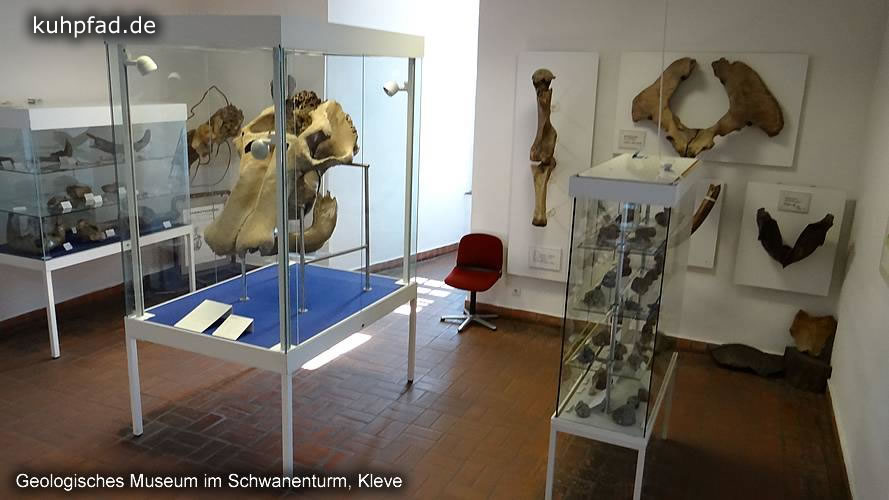 Geologisches Museum Kleve Geologisches Museum Kleve