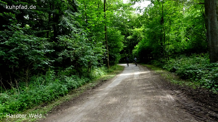 Hardter Wald Hardter Wald