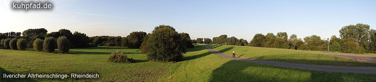 Ilvericher Altrheinschlinge Ilvericher Altrheinschlinge