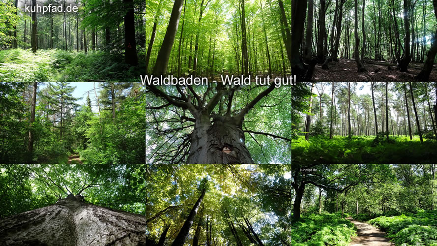 Waldbaden Waldbaden