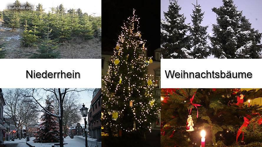 Weihnachtsbäume Weihnachtsbäume