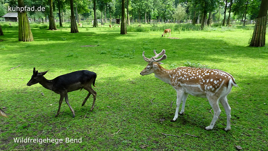 Wildfreigehege Bend Wildfreigehege Bend
