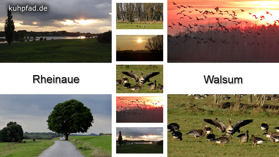 Rheinaue Walsum Rheinaue Walsum
