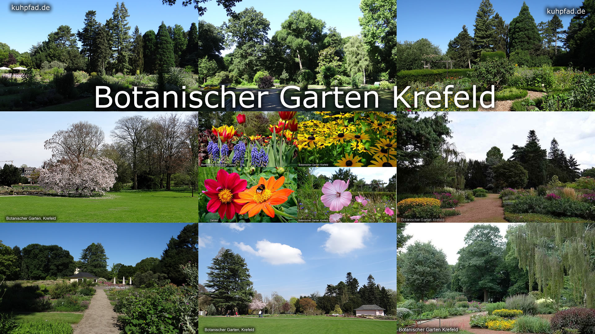 Botanischer Garten Krefeld Botanischer Garten Krefeld