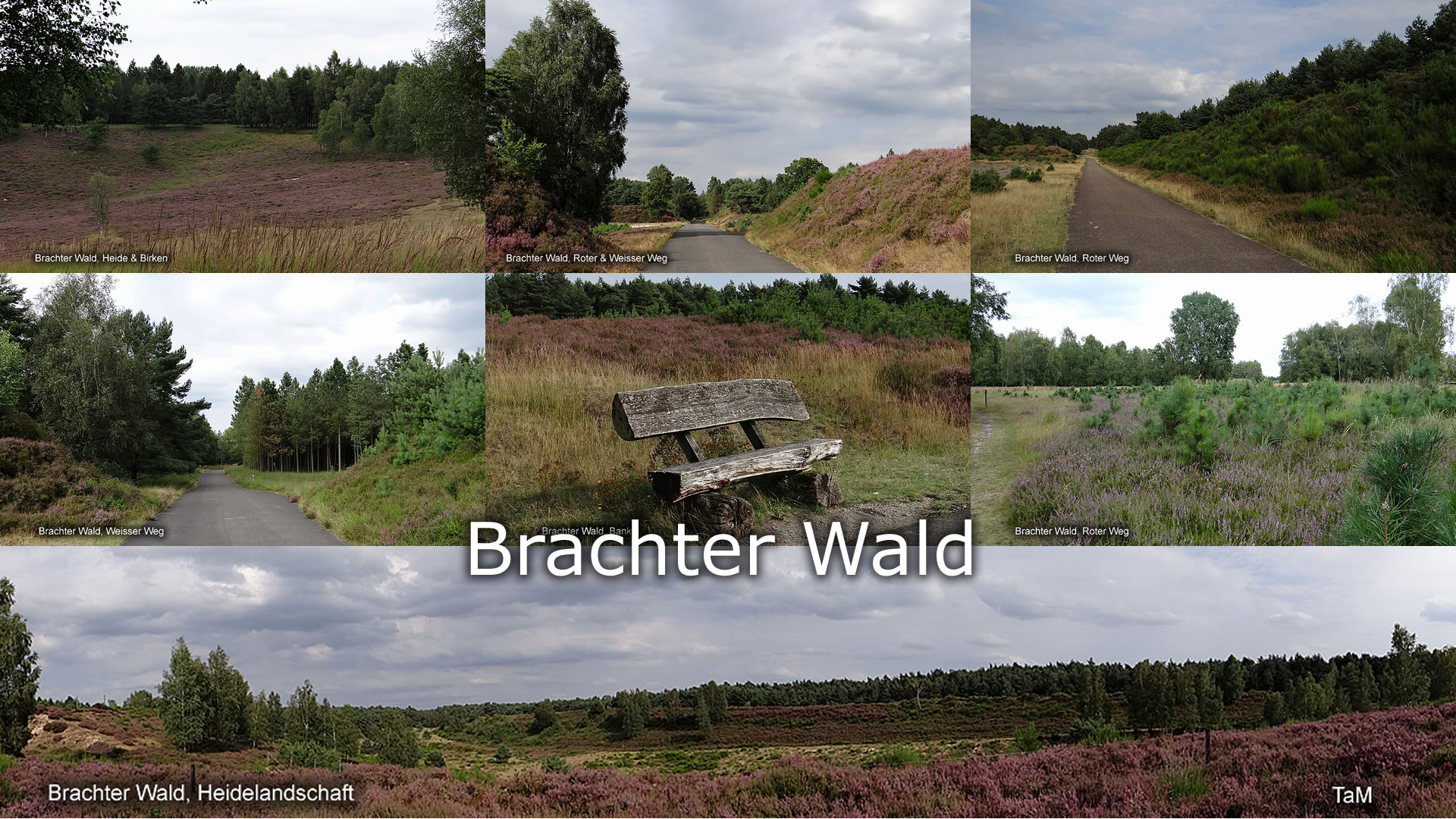 Brachter Wald Brachter Wald