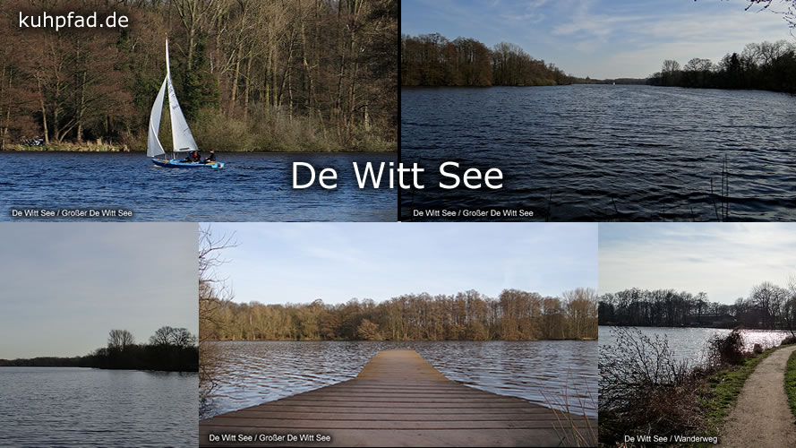 De Witt See De Witt See