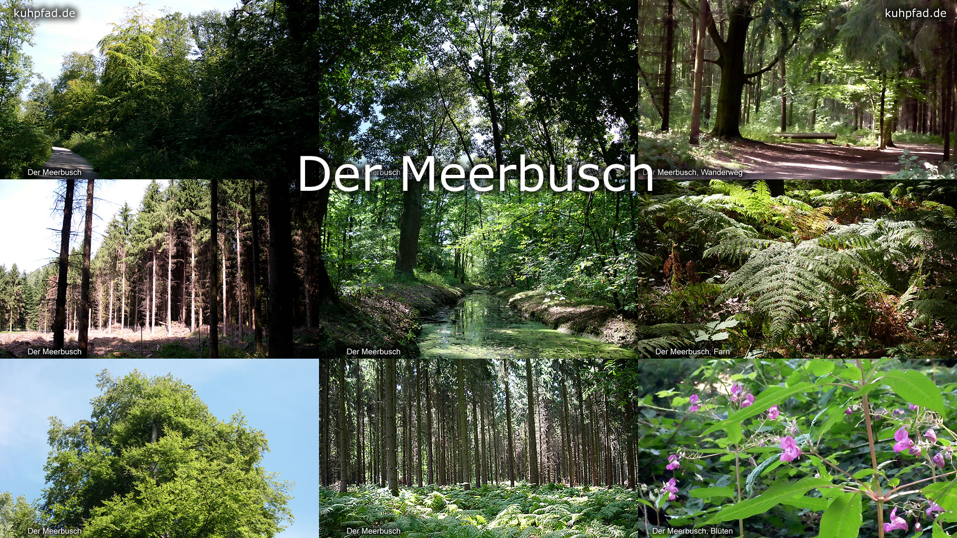 Naturschutzgebiet Der Meerbusch Naturschutzgebiet Der Meerbusch