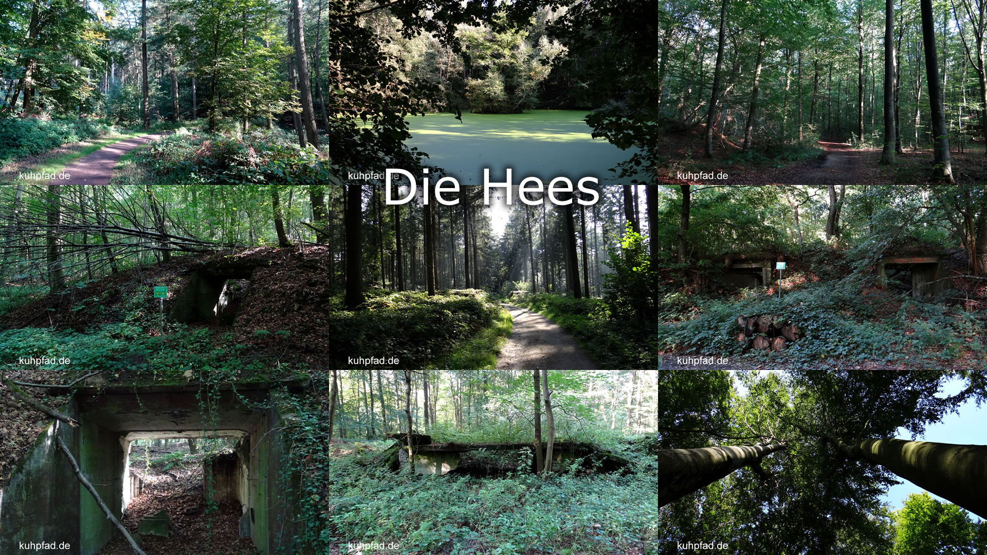 Die Hees (Muna) Die Hees (Muna)