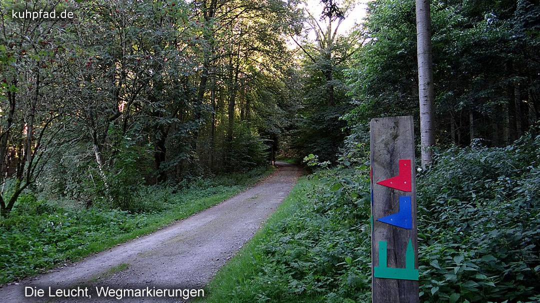 Wegweiser Die Leucht Waldgebiet