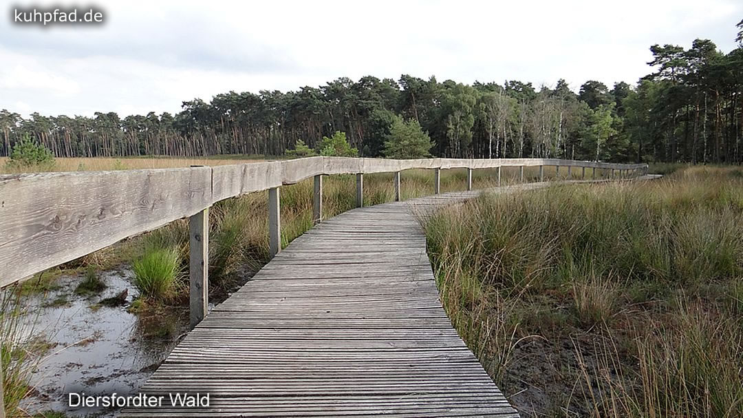 Bohlenweg Diersfordter Wald