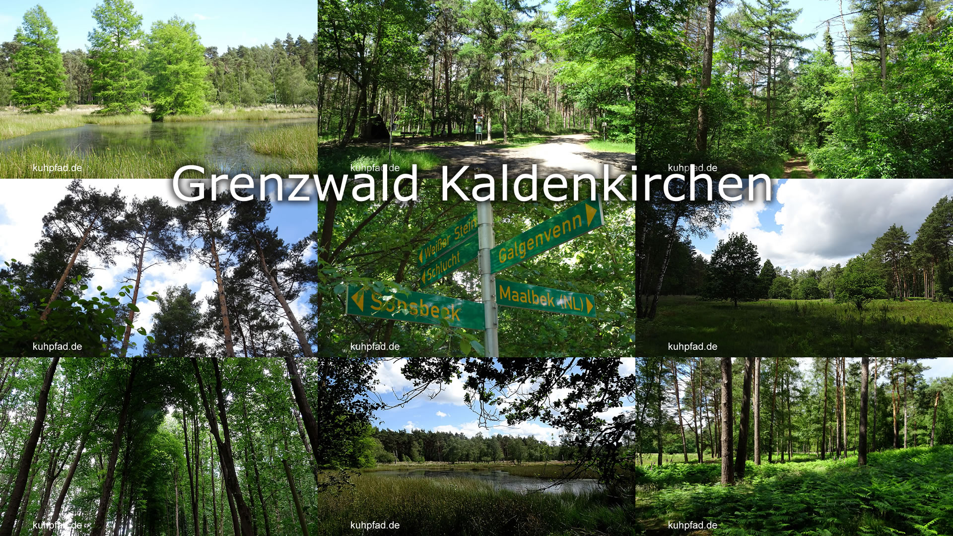 gGrenzwald Kaldenkirchen Grenzwald Kaldenkirchen