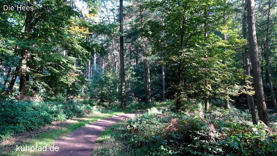 Wanderweg Die Hees