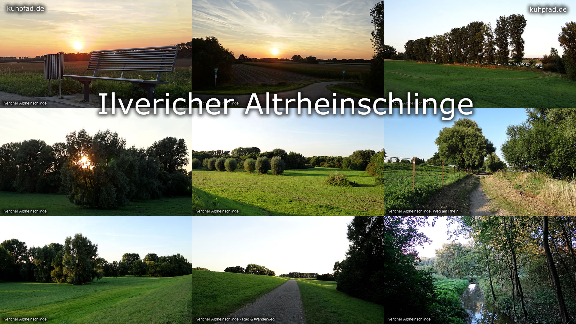 Ilvericher Altrheinschlinge Ilvericher Altrheinschlinge