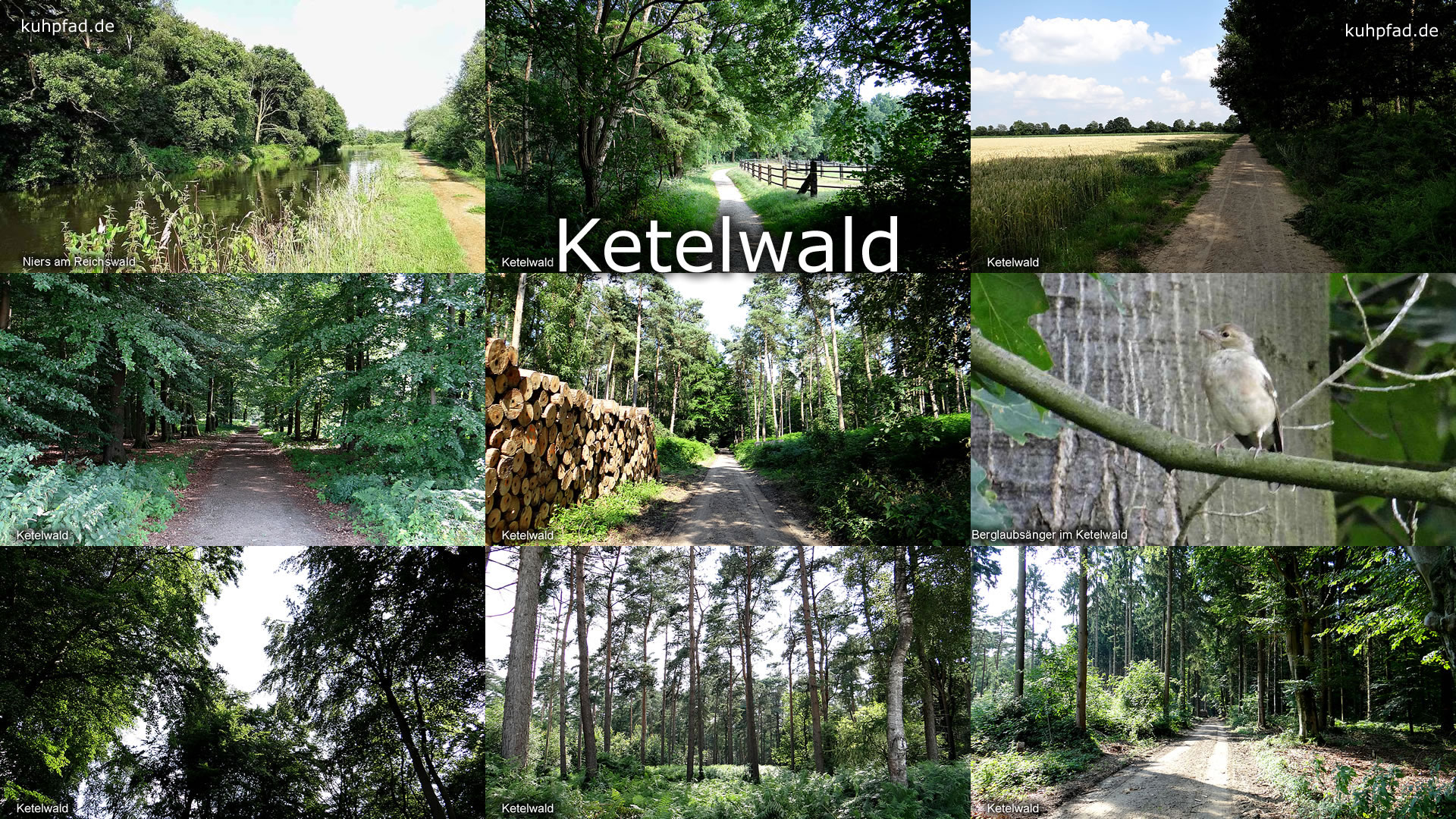 Ketelwald Ketelwald
