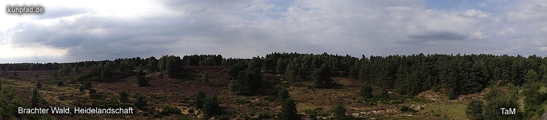 Brachter Wald Brachter Wald