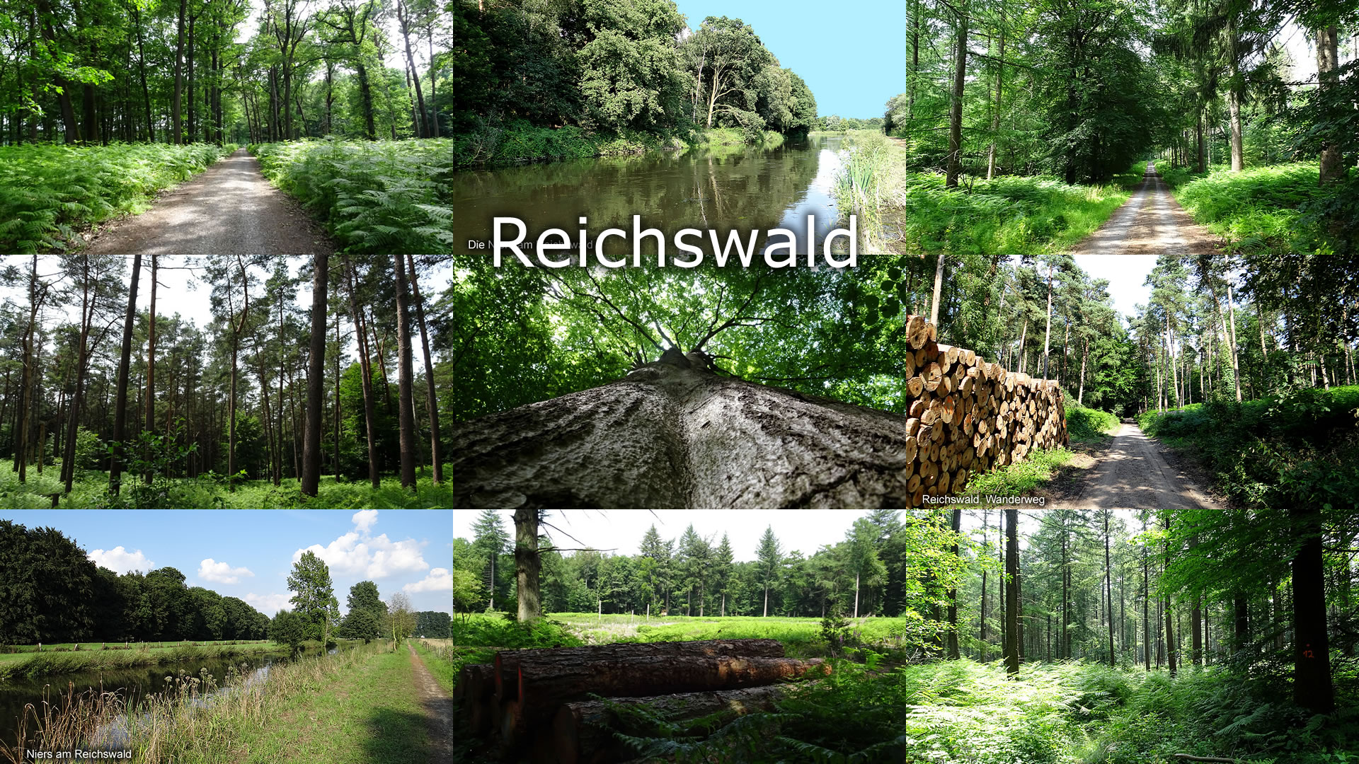 Klever Reichswald Klever Reichswald