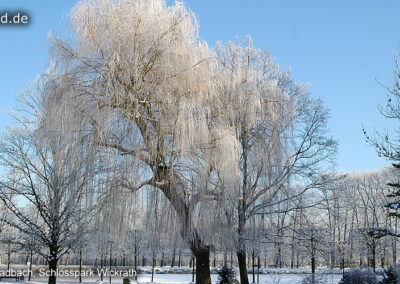 Schlosspark Wickrath